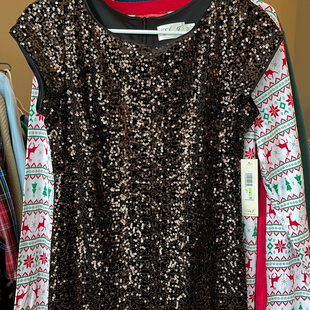 NWT Eliza J SEQUINED DRESS